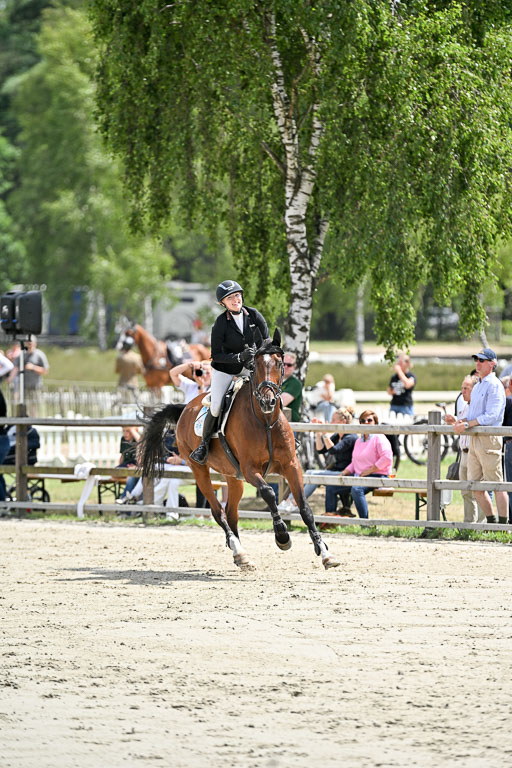  | 29062025 Springen CCI3 L _216 