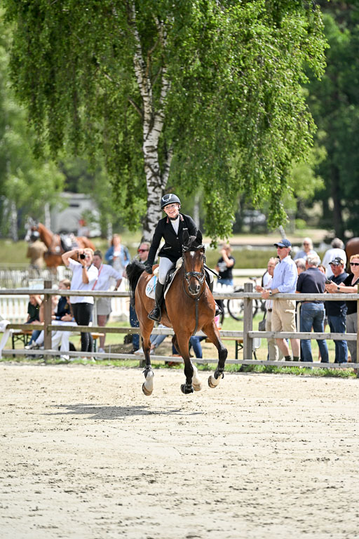  | 29062025 Springen CCI3 L _217 