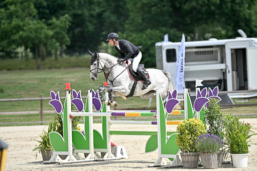  | 29062025 Springen CCI3 L _223 