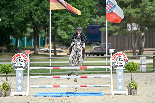  | 29062025 Springen CCI3 L _225 