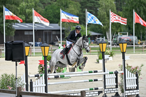  | 29062025 Springen CCI3 L _228 
