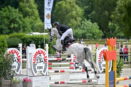  | 29062025 Springen CCI3 L _230 