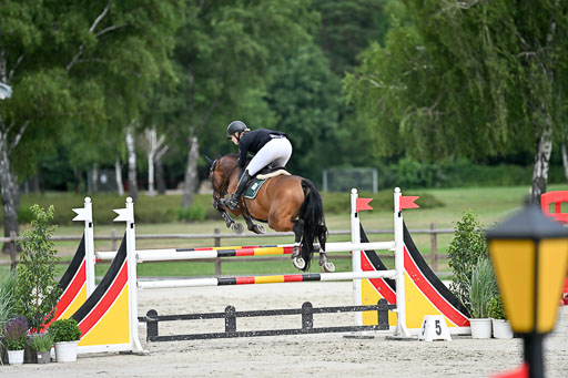  | 29062025 Springen CCI3 L _233 
