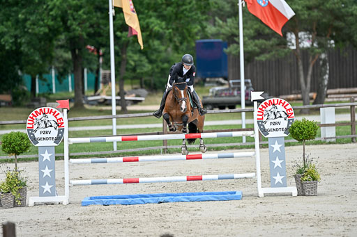  | 29062025 Springen CCI3 L _234 