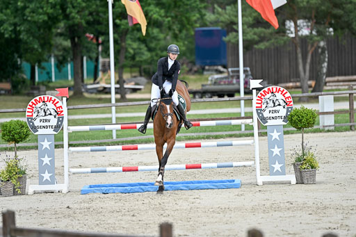  | 29062025 Springen CCI3 L _235 