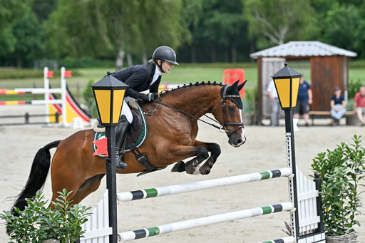  | 29062025 Springen CCI3 L _236 