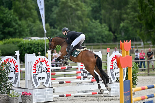 Springen CCI3 L
