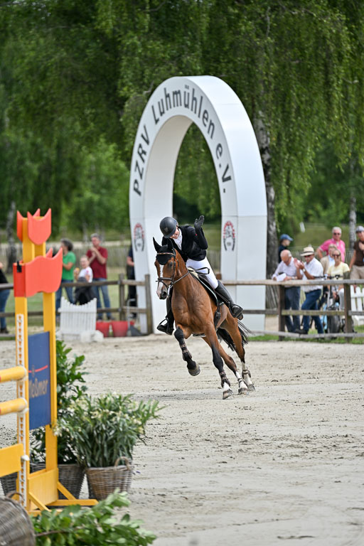  | 29062025 Springen CCI3 L _238 