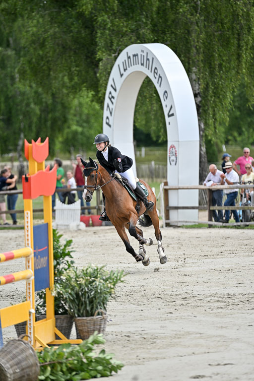  | 29062025 Springen CCI3 L _239 