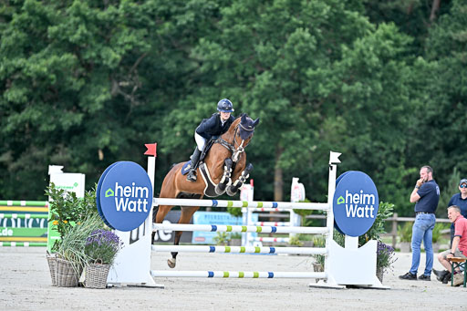  | 29062025 Springen CCI3 L 