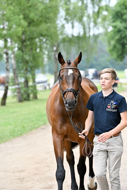  | 29062025 Verfassung _018 