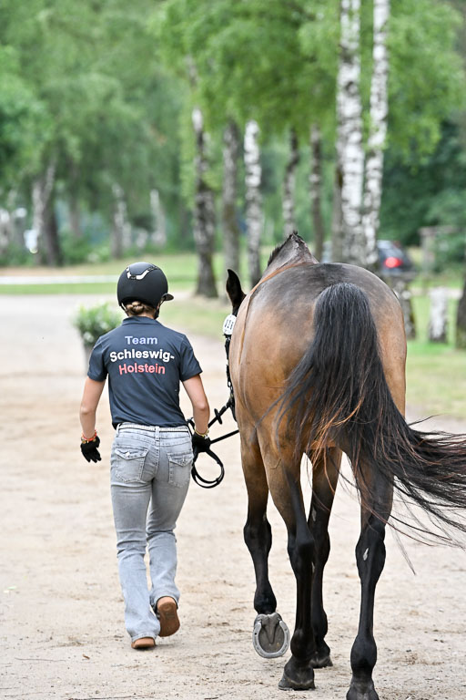  | 29062025 Verfassung _024 