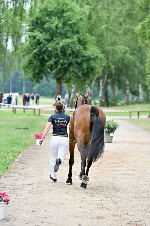  | 29062025 Verfassung _032 