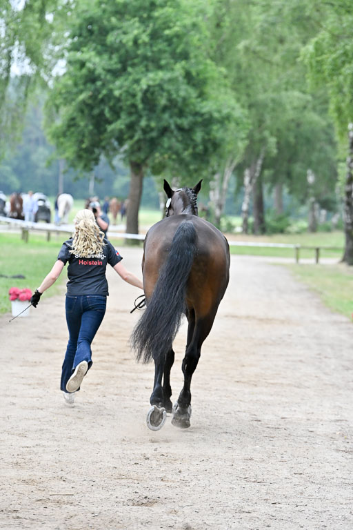  | 29062025 Verfassung _036 