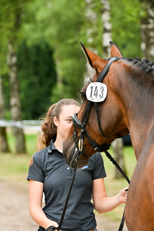  | 29062025 Verfassung _044 