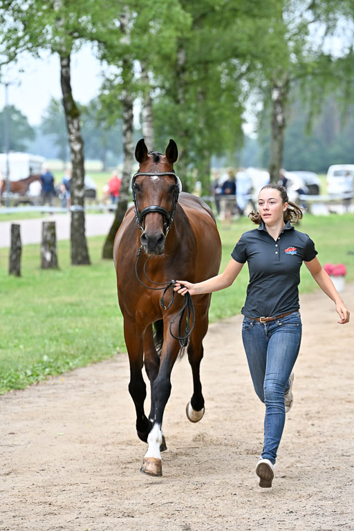  | 29062025 Verfassung _048 