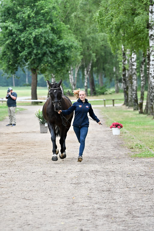  | 29062025 Verfassung _059 