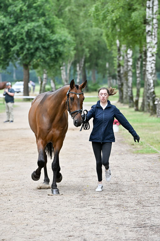  | 29062025 Verfassung _072 