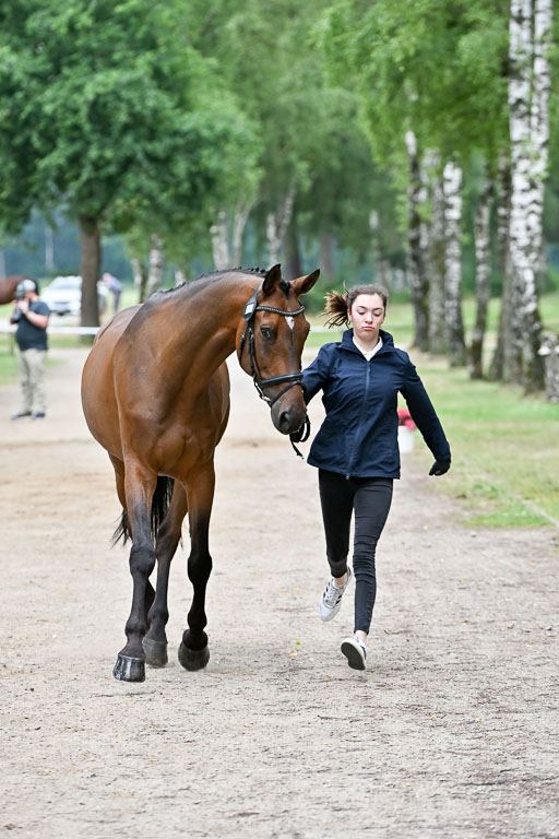  | 29062025 Verfassung _073 