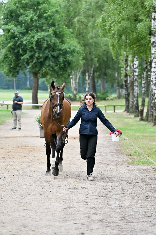  | 29062025 Verfassung _087 