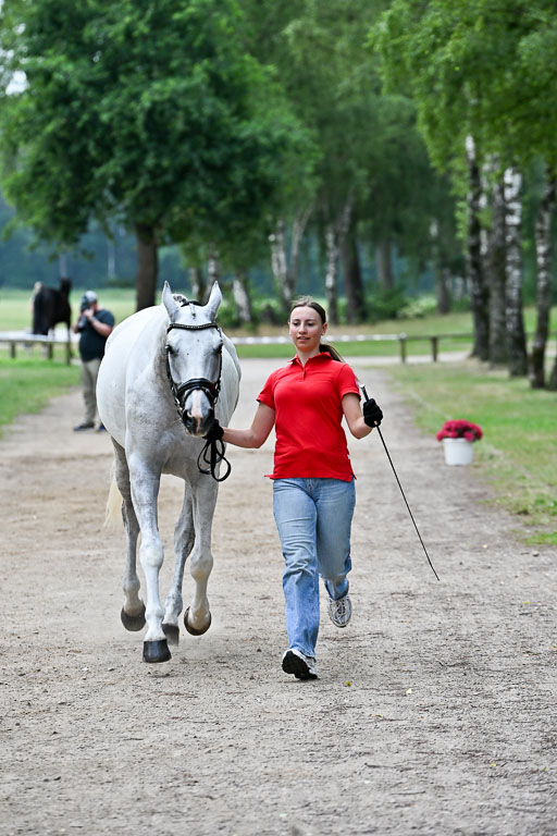  | 29062025 Verfassung _093 