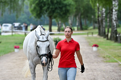  | 29062025 Verfassung _094 