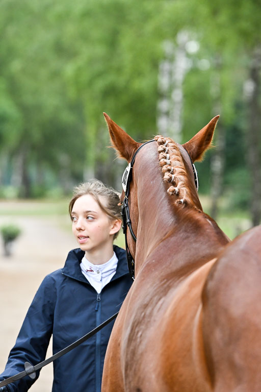  | 29062025 Verfassung _095 