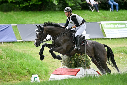  | 28062025 CCI3 S _010 