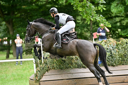  | 28062025 CCI3 S _011 