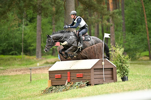  | 28062025 CCI3 S _017 