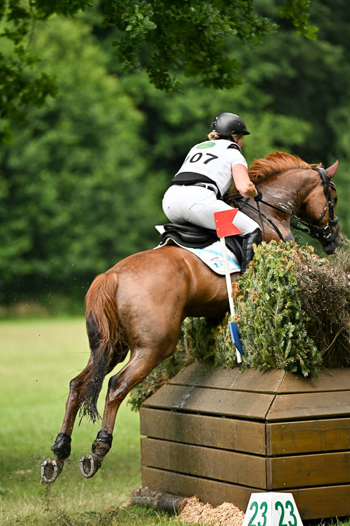  | 28062025 CCI3 S _062 