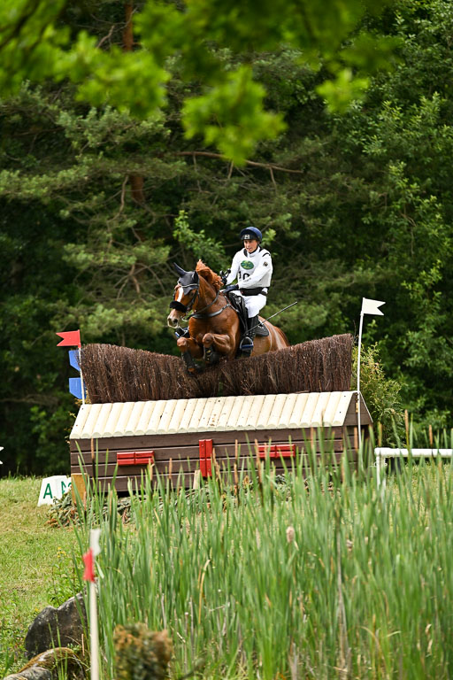  | 28062025 CCI3 S _063 