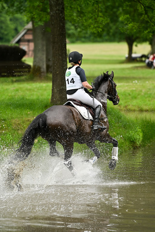  | 28062025 CCI3 S _111 