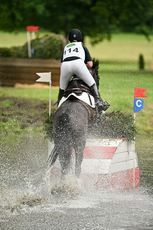  | 28062025 CCI3 S _113 