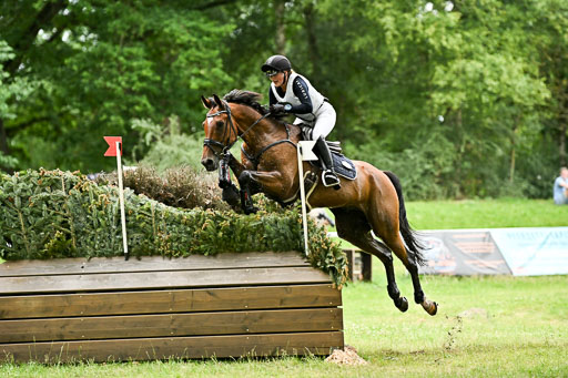  | 28062025 CCI3 S _117 