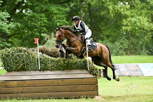  | 28062025 CCI3 S _118 