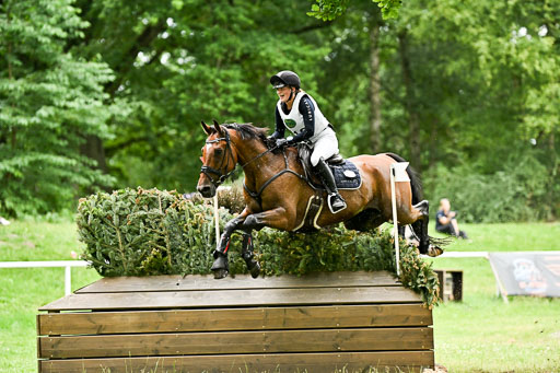  | 28062025 CCI3 S _119 