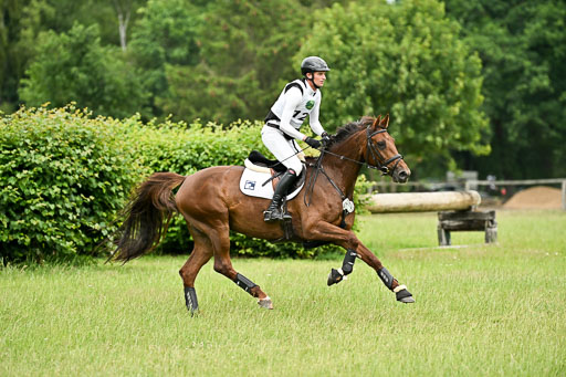  | 28062025 CCI3 S _125 