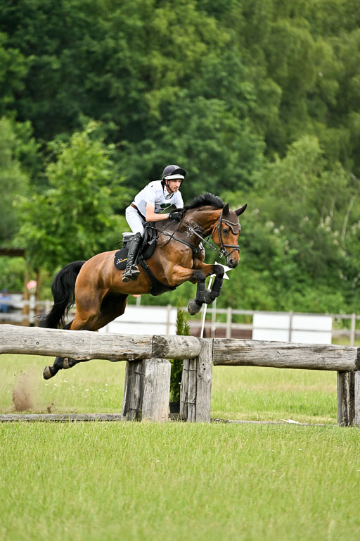  | 28062025 CCI3 S _130 