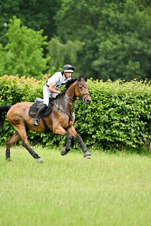  | 28062025 CCI3 S _133 