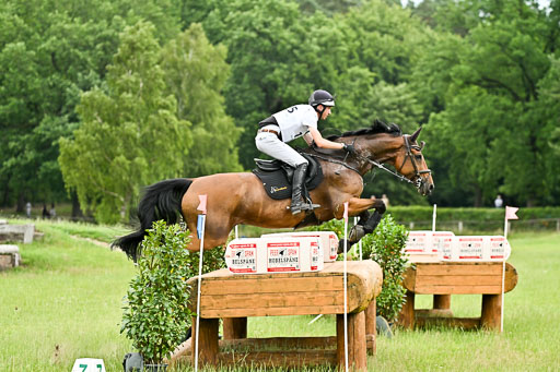  | 28062025 CCI3 S _137 