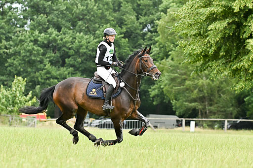  | 28062025 CCI3 S _141 