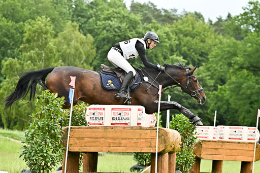  | 28062025 CCI3 S _146 