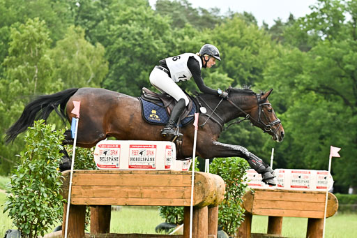  | 28062025 CCI3 S _147 