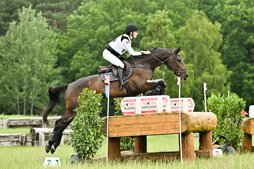  | 28062025 CCI3 S _164 