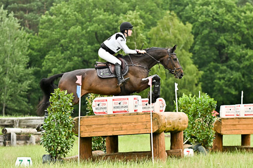  | 28062025 CCI3 S _166 