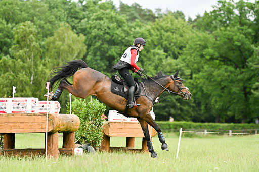  | 28062025 CCI3 S _172 