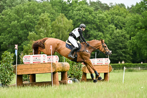  | 28062025 CCI3 S _180 