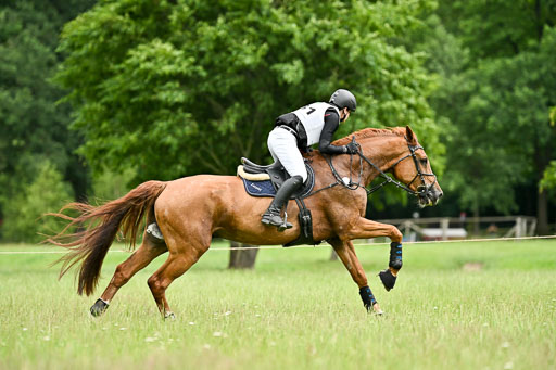  | 28062025 CCI3 S _181 