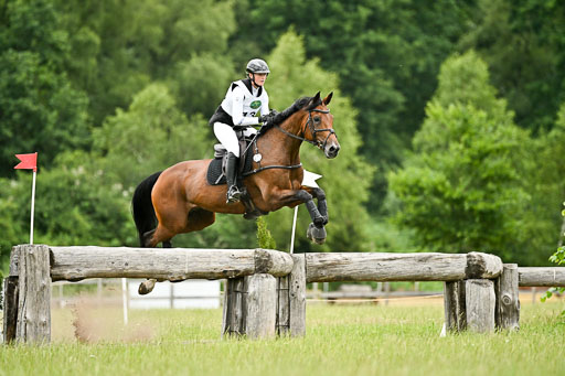  | 28062025 CCI3 S _194 